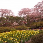 20130419_102955.jpg