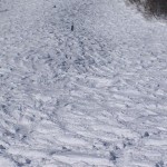 チャレンジバーン