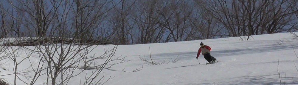 村木スキースクール